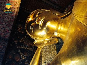 wat pho